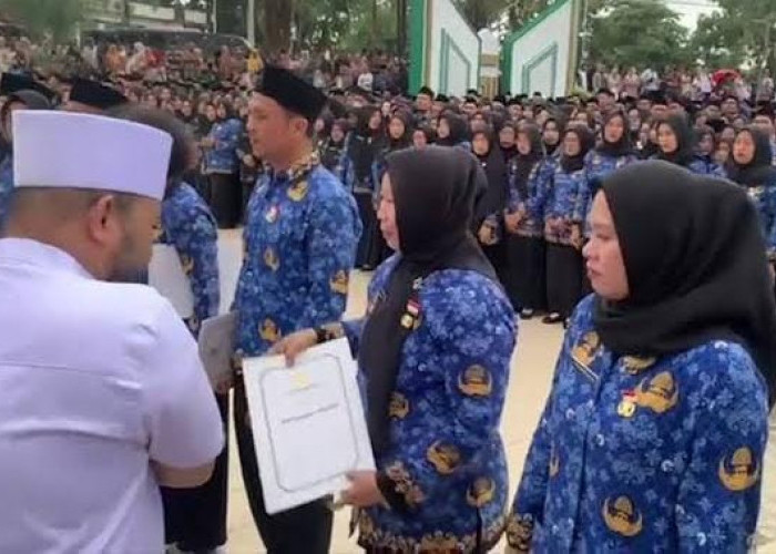 SK 47 Orang Tenaga PPPK Paruh Waktu di Pemprov Bengkulu Tidak Diperpanjang, Ini Alasannya 