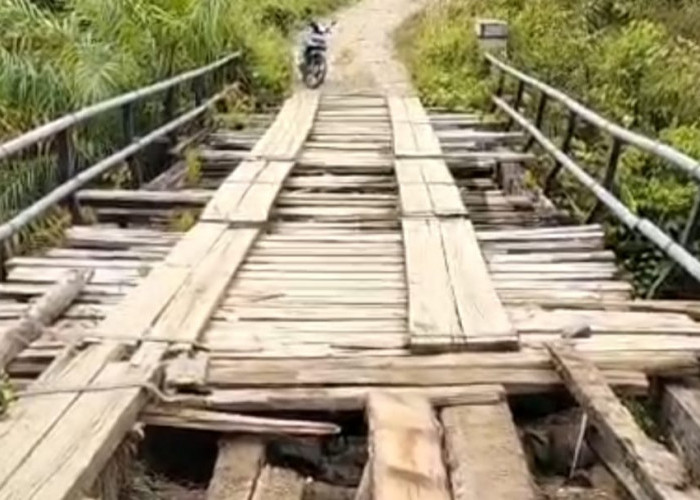 Jembatan Muara Nibung Rusak Parah, Akses Tiga Desa di Ulu Talo Terancam Terisolir 