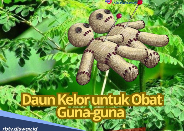 Obat Penyembuh Guna-guna, Cukup Gunakan Daun Kelor, Begini Caranya