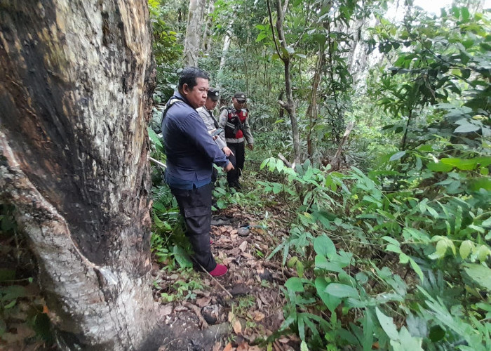 Petani di Bengkulu Utara Diserang Beruang, BKSDA Turun ke TKP, Ini Hasilnya