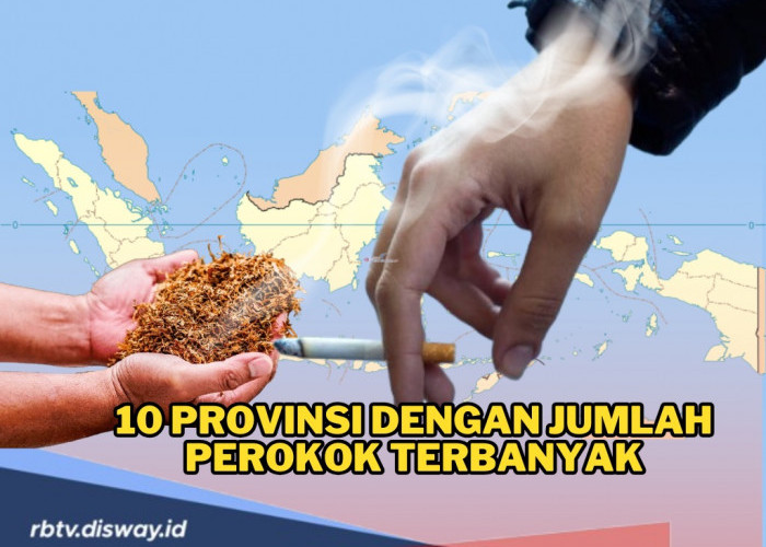 Harga Rokok di Indonesia Resmi Naik Mulai 1 Januari 2025, Ini 10 Provinsi dengan Jumlah Perokok Terbanyak?