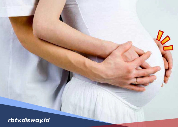 3 Alasan Dibalik Mitos Larangan Membunuh Hewan Saat Istri Hamil