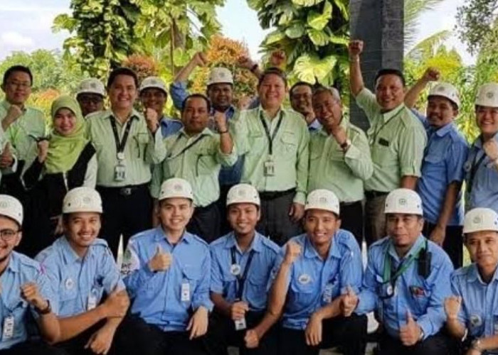 6 Posisi Lowongan Kerja di Perkebunan Sawit dan Karet Kalimantan,  Lamaran Kirim ke PT Triputra Agro Persada