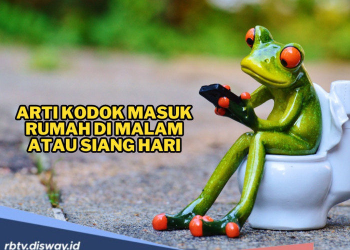 Jangan Diusir, Ini Arti Kodok Masuk Rumah di Malam atau Siang Hari
