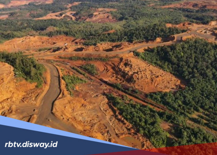 Gorontalo Punya Tambang Emas, Segini Estimasi Sumber Daya Emasnya