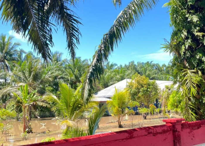 Dinas Pendidikan Kota Bengkulu Data Sekolah Terdampak Banjir, Terparah SD Negeri 89 Korpri Bentiring