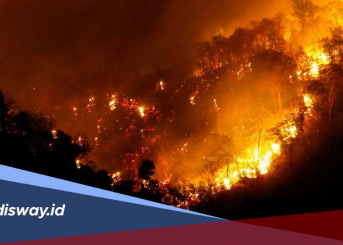 202.004,30 Hektare Lahan Terbakar: Update Karhutla Indonesia Tahun 2026