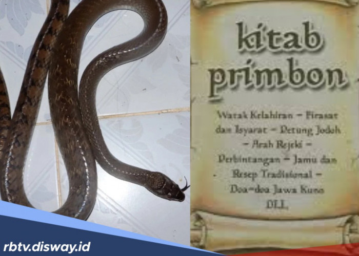 Makna 8 Jenis Hewan Ini Jika Masuk Rumah, Pertanda Baik atau Buruk Menurut Primbon Jawa