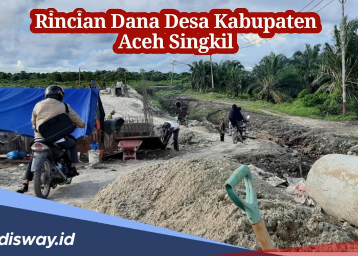 Rincian Dana Desa Kabupaten Aceh Singkil 2024, Desa Mana yang Paling Besar Dapatkan Kucuran Dana?