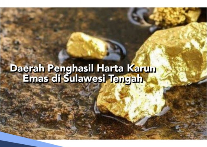 Disebut Punya Deposit Emas, Ini Daerah Penghasil Harta Karun Emas di Sulawesi Tengah