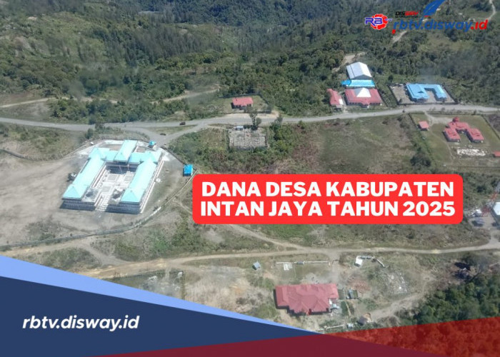 Rincian Dana Desa Kabupaten Intan Jaya Tahun 2025, Cek Pembagian untuk 97 Desanya