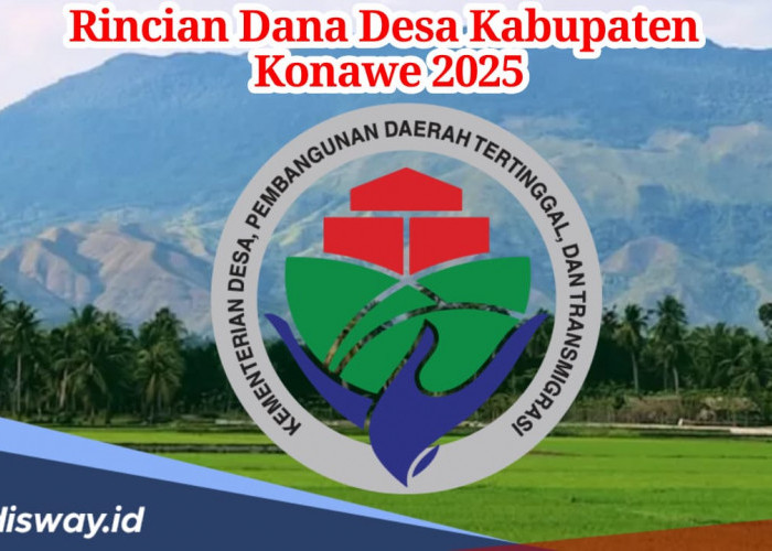 Rincian Dana Desa Kabupaten Konawe Tahun 2025, Rata-rata Terima Anggaran Segini