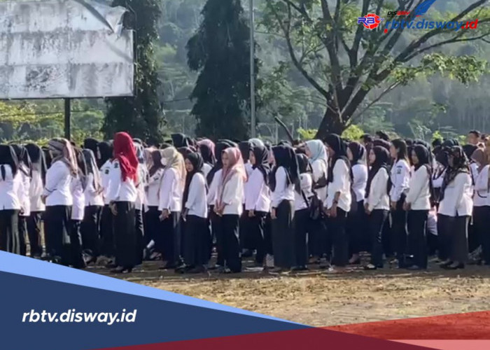Ini Kategori THLT yang Masih Dipertahankan Pemkab Lebong