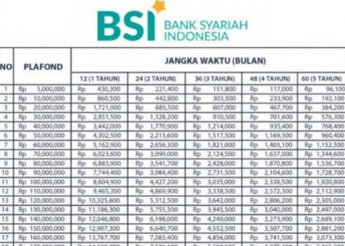 KUR BSI Pinjaman Rp 25 Juta dan Rp 40 Juta Bisa Diajukan Tanpa Agunan, Tanpa Bunga Cicilan Ringan