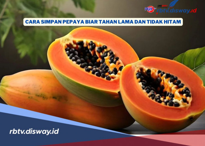 Dijamin Tetap Segar, Ini Rahasia Menyimpan Pepaya agar Tahan Lama dan Tidak Hitam