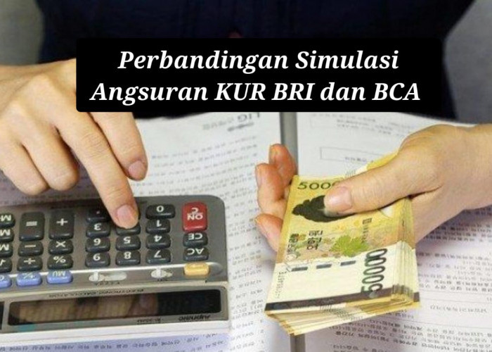 Pinjaman Rp 10 Juta Dicicil 3 Tahun, Ini Perbandingan Simulasi Angsuran KUR BRI dan BCA