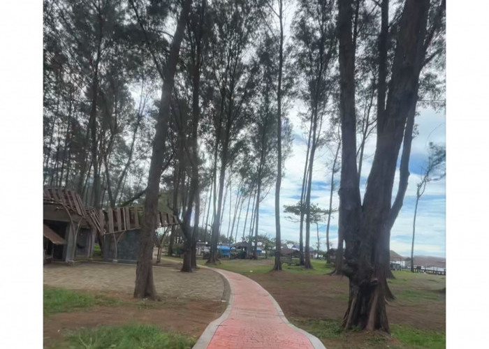 Begini Cara BPBD Kota Bengkulu agar Tidak Ada Pengunjung Pantai yang Tenggelam saat Libur