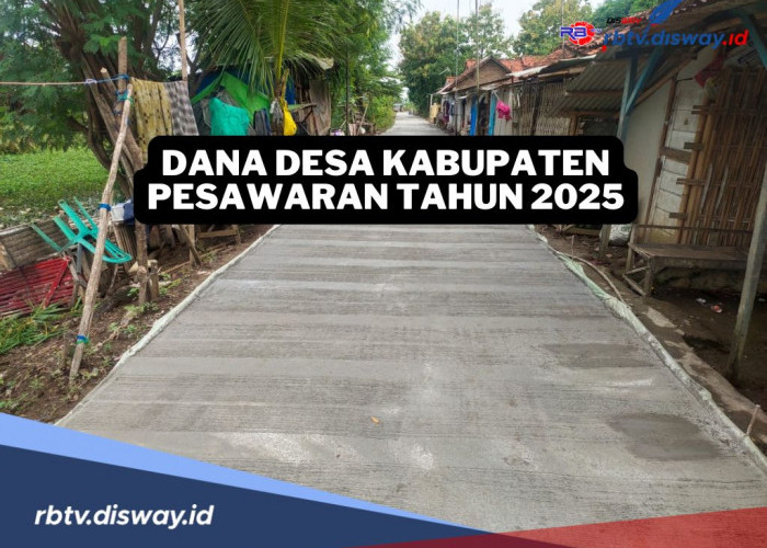 Rincian Dana Desa di Kabupaten Pesawaran Tahun 2025 Senilai Rp 142 Miliar, Segini Pembagian untuk 148 Desa