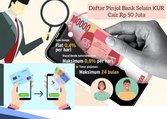 Daftar Pinjol Bank Selain KUR Bisa Cair Rp50 juta, Ada BRI, BNI, dan BCA