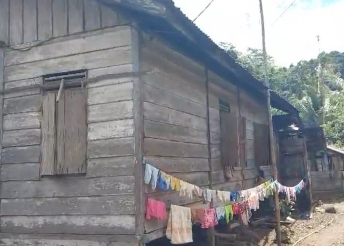 Pemprov Bengkulu Usulkan 23.784 Unit Rumah ke Kementerian Perkim untuk Dibedah