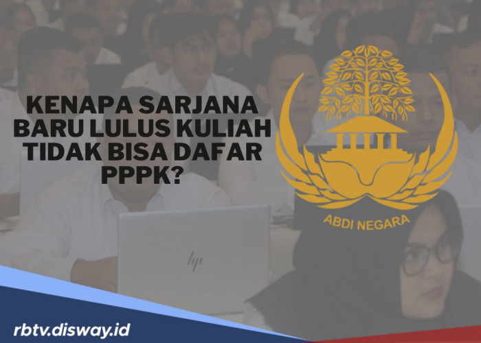 Tak Hanya Pengalaman Kerja, Ini Alasan Kenapa Sarjana Baru Lulus Kuliah Tidak Bisa Daftar PPPK