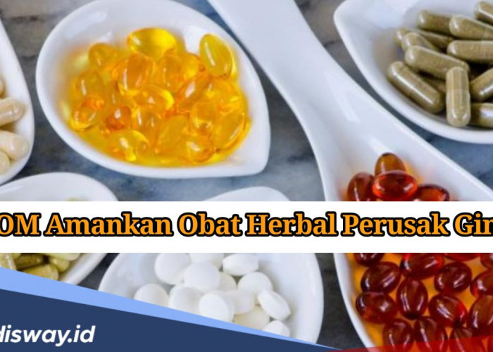 BPOM Sita 10 Obat Herbal Berbahaya Senilai Rp 8,1 Miliar, Bisa Rusak Ginjal dan Jantung