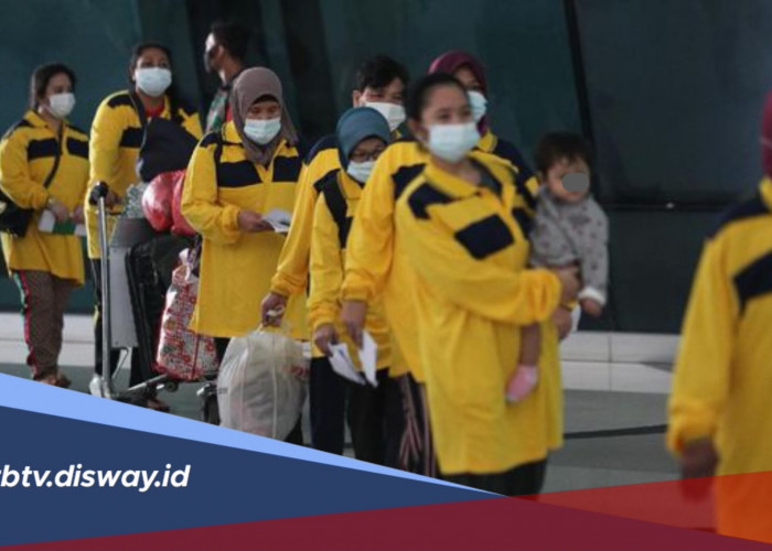 Segini Kisaran Penghasilan TKI di Malaysia Berdasarkan Pekerjaan