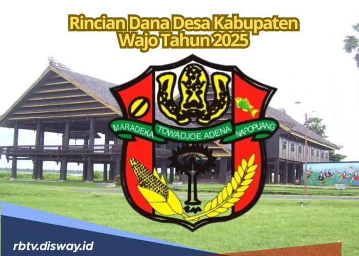 Tabel DANA Desa Kabupaten Wajo 2025, Total Rp 117 Miliar untuk 142 Desa