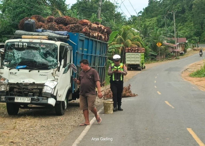 Efek Jalan Rusak, Dua Sopir Truk Sawit Asal Padang Guci Terlibat Tabrakan di Seluma