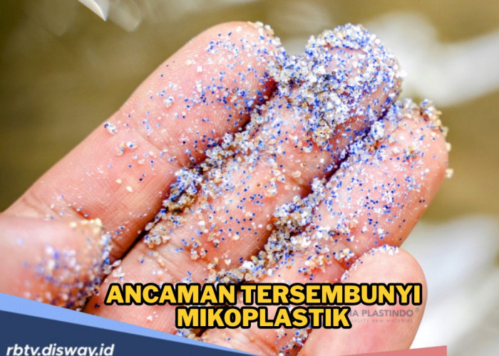 Viral Mikroplastik Turun Bersama Hujan Jakarta, Begini Dampaknya Bagi Kesehatan Manusia