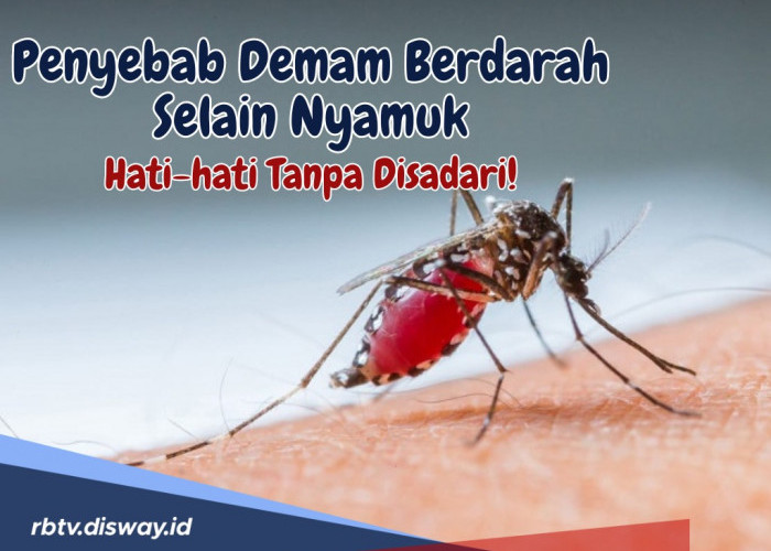 Ternyata Ini Penyebab Demam Berdarah Selain Nyamuk, Hati-hati Banyak yang Tidak Sadar