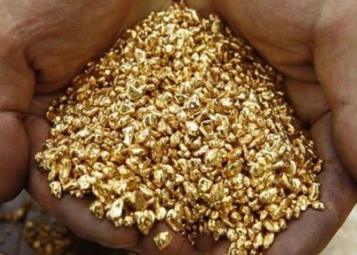 Simpanan Emas di Pulau Emas Suwarnadwipa, Terletak di Bagian Utara yang Digarap Sejak Tahun 2008