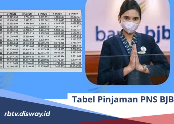 Tabel Pinjaman PNS BJB Rp 10-100 Juta dan Syarat 3 Jenis Pinjaman PNS di BJB 