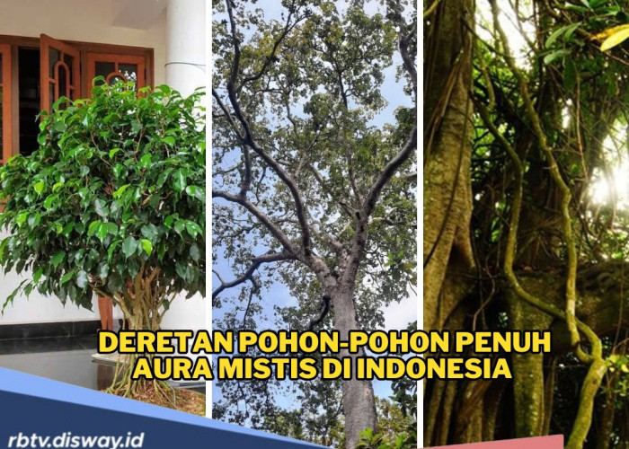 Bukan Sembarang! Ini Deretan Pohon-pohon Penuh Aura Mistis di Indonesia yang Sarat Makna Budaya dan Kepercayaa
