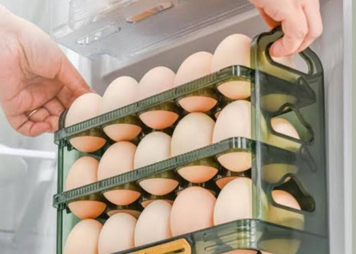 Jangan Simpan Telur di Lemari Kulkas, Ahli Mengingatkan Ada Penyakit Serius Mengintai
