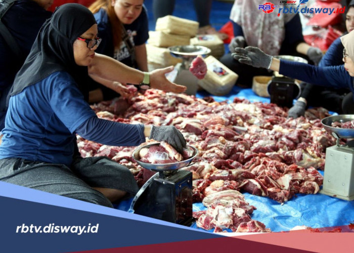 Bolehkah Panitia Kurban Menerima Daging? Ini Penjelasan Lengkap Sesuai Syariat Islam