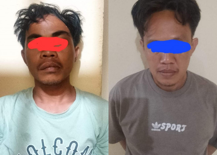 Mobil Hasil Curian Tak Laku, 2 Terduga Pelaku Pencurian Mobil di Kaur Ditangkap Polisi