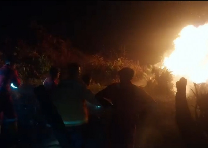 Sabtu Malam Giliran Lahan di Surabaya Terbakar, Api Begitu Cepat Meluas