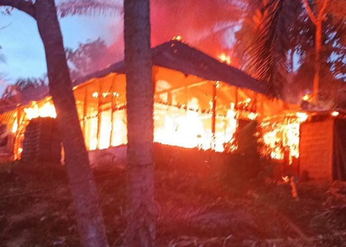 Ini Dugaan Penyebab Kebakaran di Desa Suka Rami Bengkulu Utara