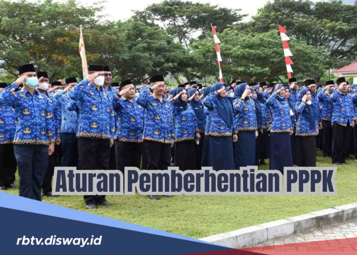 Tidak Sembarangan, Ini Ketentuan Pemberhentian PPPK Paruh Waktu dan Penuh Waktu