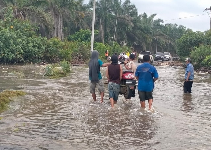Air Laut Pasang, Jalan Lintas Ketahun-Batik Nau Digenangi Air, Kendaraan Sulit Melintas