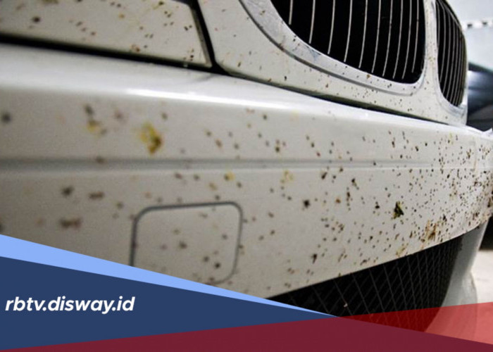 Cara Mudah Membersihkan Noda Aspal yang Menempel di Bodi Mobil