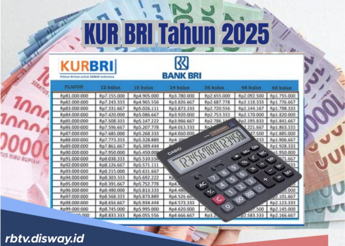 KUR BRI 2025 Tidak Perlu Jaminan, Ini Simulasi Angsuran Pinjaman Rp 20 Juta