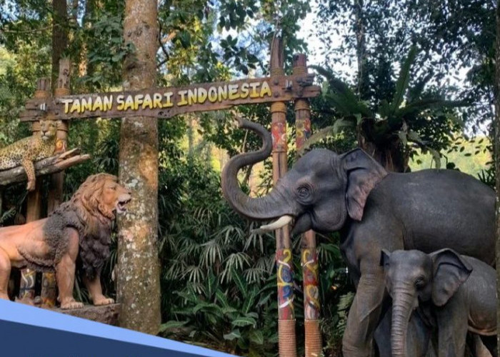 Libur Akhir Pekan? Ini Surga Wisata Alam Ramah Anak di Bogor dan Bandung