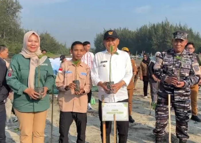 200 Bibit Pohon Mangrove Ditanam di Pesisir Pantai Pekik Nyaring