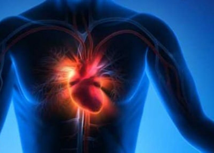 Ini Cara Mudah Mendeteksi Kesehatan Jantung, Bisa Dilakukan di Rumah