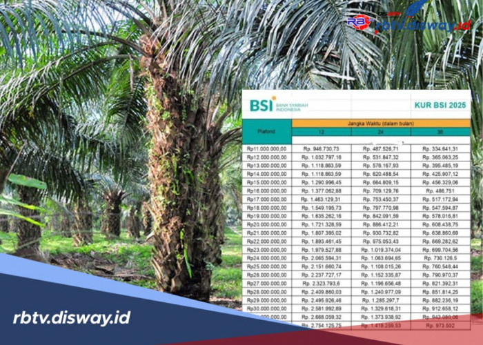 Pinjaman KUR BSI 2025 Rp 95 Juta untuk Petani Sawit Tanpa Ribet, Cicilannya hanya Segini