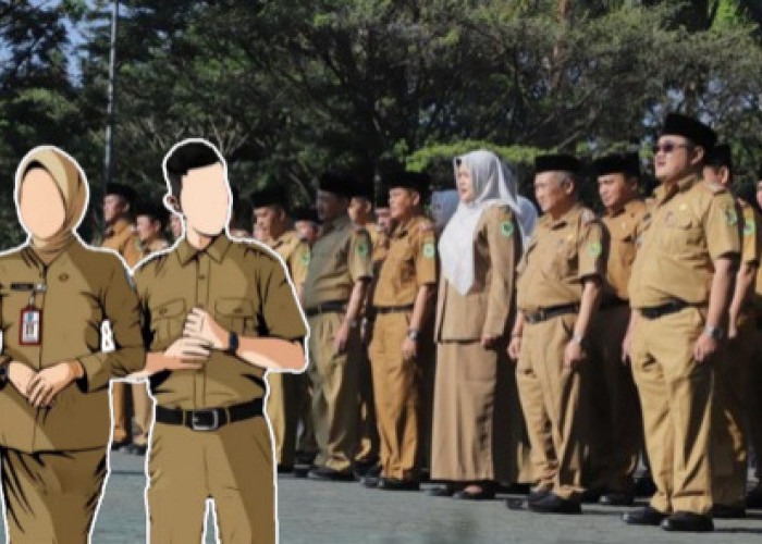 Ada Formasi CPNS 2026 untuk Lulusan SMA/SMK?