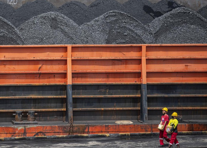Melihat Harta Karun Melimpah di Kalimantan Tengah, Ini Lokasinya