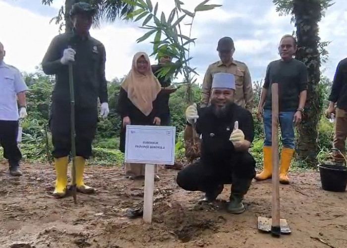Helmi - Mian Gelar Penanaman Pohon Serentak di Provinsi Bengkulu dan Reboisasi Aliran Sungai